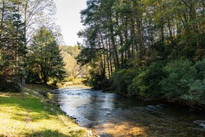 Serene river flowing through nature’s quiet escape. 🌿