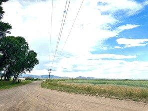 View of the driveway.