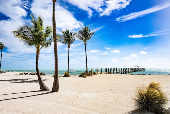 Beach View