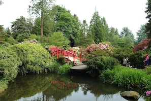 Kubota Garden