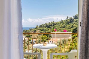 Panoramic View from the balcony of the room