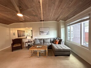 Feature: Ceiling fan sofa,leather chair,rattan chair,coffee table,TV & fireplace