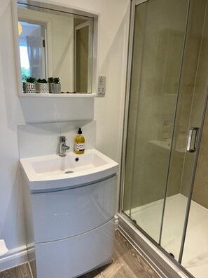 A walk-in shower with the amenities you need. 