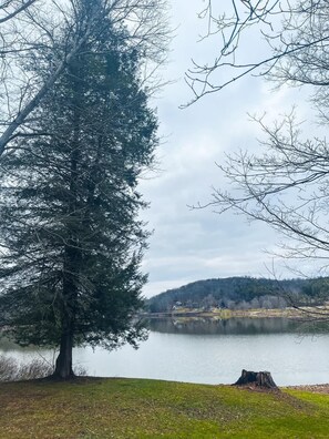 This view is 3/4th of a mile from the cottage and waking distance to the lake!