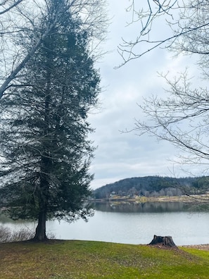 This view is 3/4th of a mile from the cottage and waking distance to the lake!