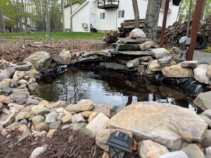 Pond in backyard