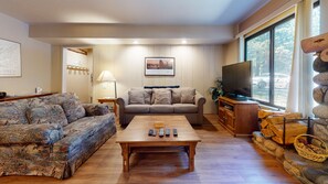 Living room with sofa sleeper, flat screen TV, DVD player