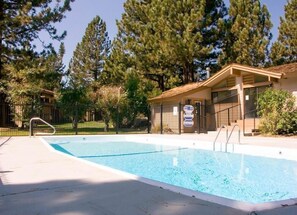 Villa de los Pinos pool