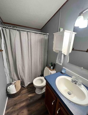 Guest bath