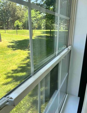 View of back yard from queen room