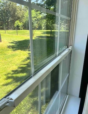 View of back yard from queen room