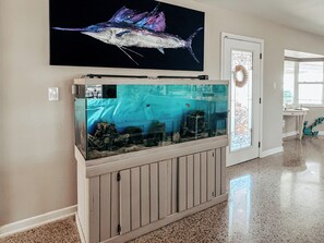 Explore our 110-gallon aquarium! Lights and feeding are on timers.
