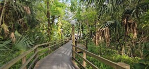 Walking path 