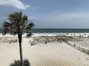 Gorgeous Gulf Shores