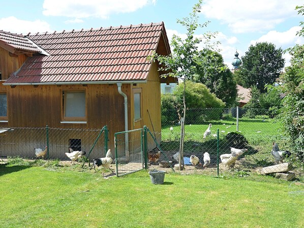 Trädgård