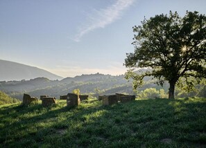 Vista dalla struttura