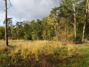 Utsikt från boendet