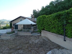 Trädgård