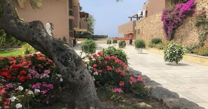 Jardín