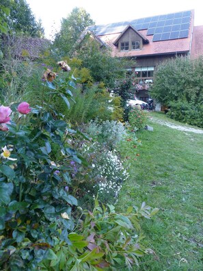 Trädgård