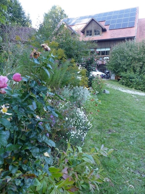 Trädgård