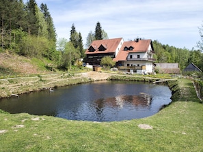Esterni