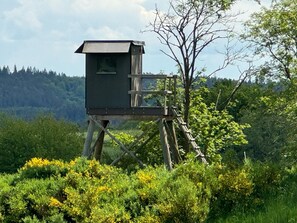 Utsikt från boendet