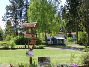 Trädgård