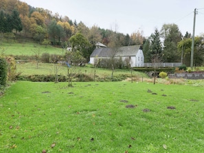 Trädgård