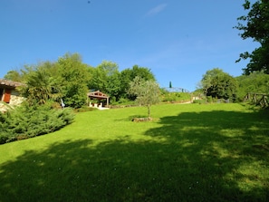 Trädgård