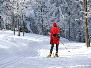 Vista dalla struttura