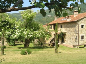 Jardín