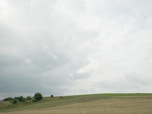 Vista desde la propiedad