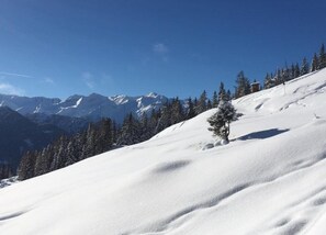 Vista desde la propiedad