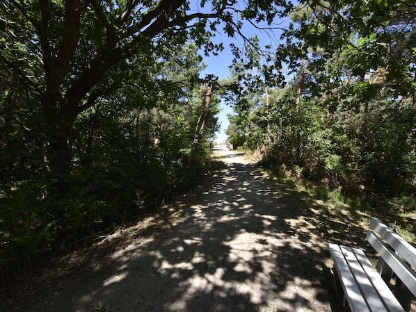Utsikt från boendet