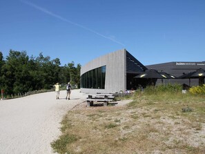 Utsikt från boendet