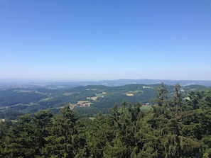 View from property