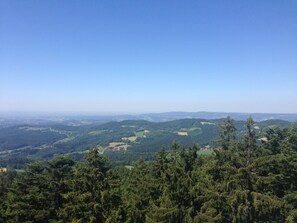 Vista dalla struttura