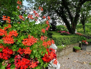 Trädgård