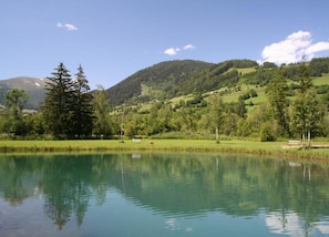 Vista da propriedade
