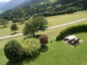 Trädgård