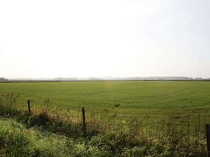 Vista dalla struttura
