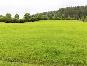Utsikt från boendet