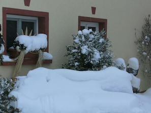 Trädgård