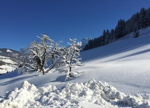 Blick von der Unterkunft