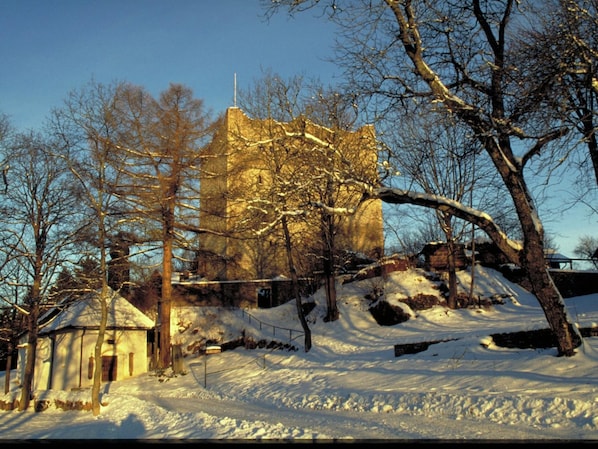Utsikt från boendet
