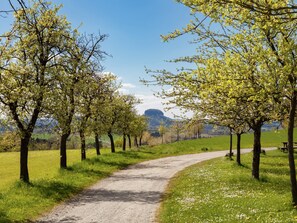 Vista dalla struttura