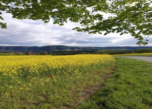 Vista desde la propiedad