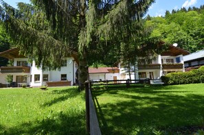 Trädgård