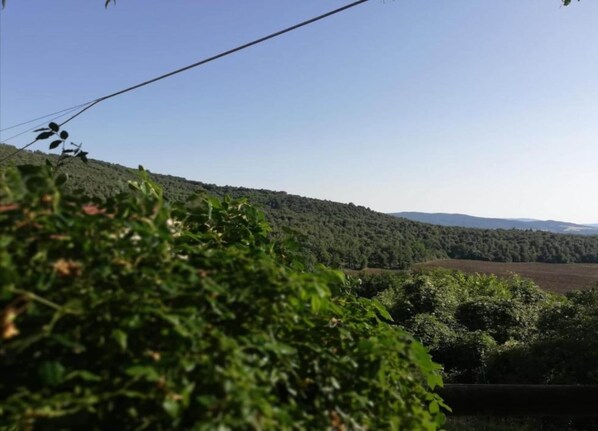Vista do alojamento